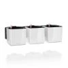 Wall Planters Lechuza Green Wall Home Kit Glossy - White