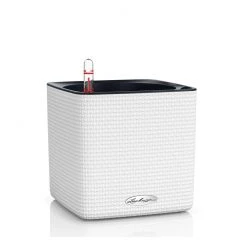 Lechuza Cube 16 Color Planter - White