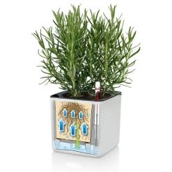 Lechuza Cube 16 Color Planter - Slate