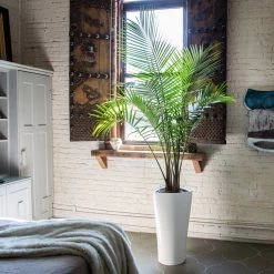 Lechuza Delta 40 (15.4