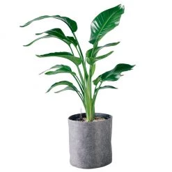 My City Plants Bird Of Paradise Plant Trendcover 32 - Dark Gray Extra Large Plants 5' - 8'