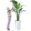 My City Plants Bird Of Paradise Plant Cubico 40 - White