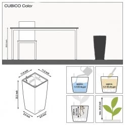 Lechuza Cubico Color 30 (12