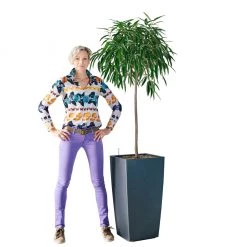 My City Plants Ficus Alli Cubico 40 - Charcoal Metallic Extra Large Plants 5' - 8'