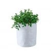 My City Plants Nematanthus Trendcover 23 - Light Gray
