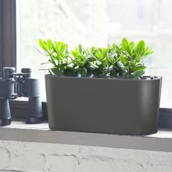My City Plants Jade Plant Windowsill Charcoal Metallic Medium/Small Plants 1' - 2'