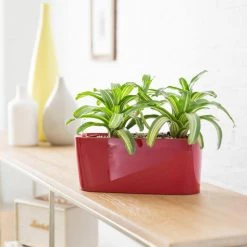 Desk Planters Lechuza Delta 10 Planter - Scarlet Red