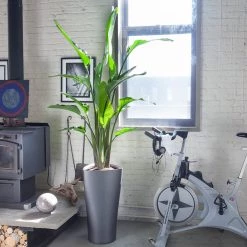 Lechuza Delta 40 (15.4