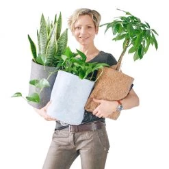 Desk Planters Lechuza Trendcover 23 Planter - Dark Cork