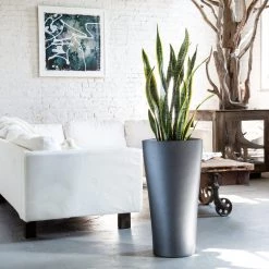 My City Plants Sansevieria Delta - Charcoal Metallic