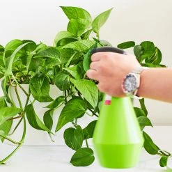 Crescent Garden Tools & Accessories Spray Bottle