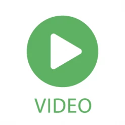 My City Plants Large Plants 3' - 5' Monstera Deliciosa Classico - White