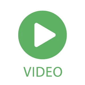 My City Plants Bird Of Paradise Plant Rondo White