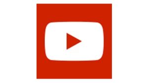 My City Plants Rubber Plant Bush Cubico - Slate Large Plants 3' - 5'