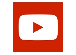 My City Plants Sansevieria Delta White