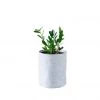 My City Plants ZZ Plant Trendcover 23 - Light Gray